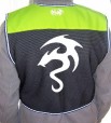 snake dragon back